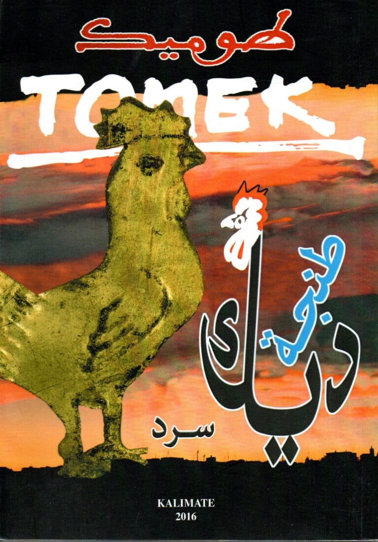 طوميك ديك طنجة